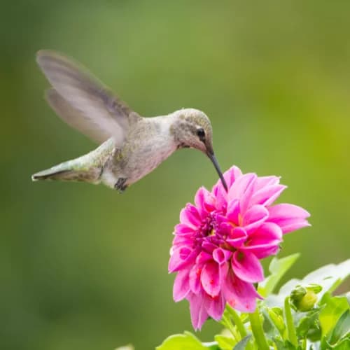 Comment doper la motivation au quotidien ?