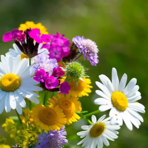 Douleur : outils proposés pour une meilleure prise en charge, constructive et en équipe